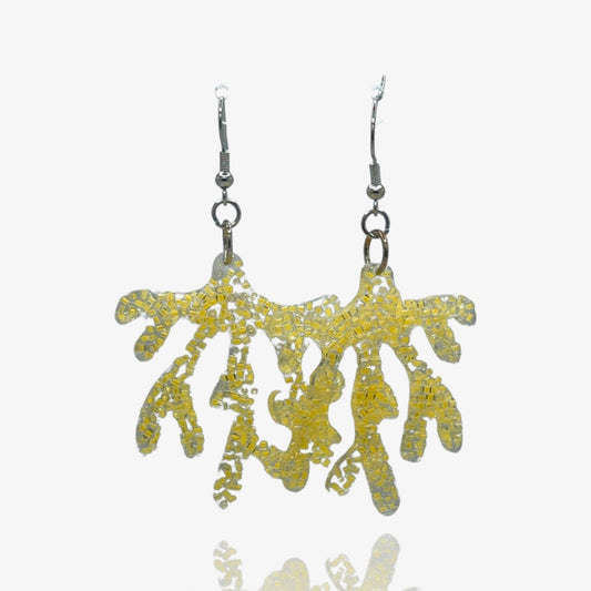 Tangerine Bubble Coral